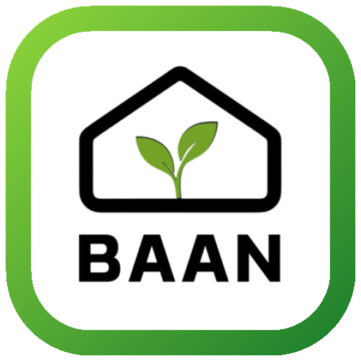 BAAN Logo